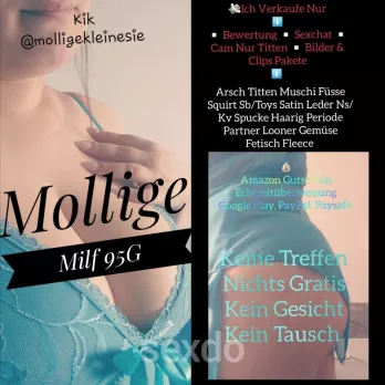 Privatmodell - Molly - Dresden - Mollige Milf 95G - Profilbild
