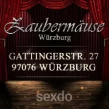 Zaubermaus Würzburg
