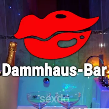 Club - Dammhaus-Bar - Bad Sooden-Allendorf - Erotik, Tabledance, Escort - Profilbild