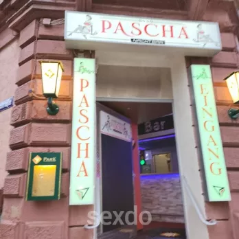 Club - Nachtbar Pascha - Pirmasens - Kollegin gesucht wir bieten Schlafplatz - Profilbild