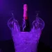 Champagne Night Club - nur fuer +Club Mitglieder