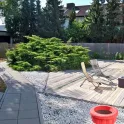 Bordell / Laufhaus - Eroscenter Why Not - Kaiserslautern - 10-16 Frauen sind konstant für Dich da - Bild 2