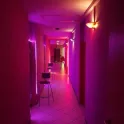 Bordell / Laufhaus - Eroscenter Why Not - Kaiserslautern - 10-16 Frauen sind konstant für Dich da - Bild 4