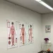 Kang Le Massage - nur fuer +Club Mitglieder
