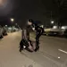 Mistress Mel - nur fuer +Club Mitglieder
