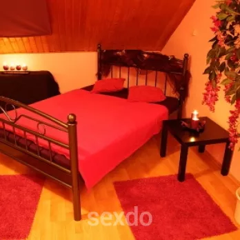 Privat / Appartement - Das Rote Haus - Michelstadt - Intime Stunden mit sexy Damen - Profilbild