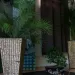 Massagestudio Jasmin - nur fuer +Club Mitglieder