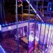Novem Viginti - nur fuer +Club Mitglieder