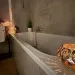Massagetempel Ratzeburg - nur fuer +Club Mitglieder