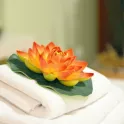 Massagesalon - Thai Paradise - Langenhagen - Massage und mehr... - Bild 2