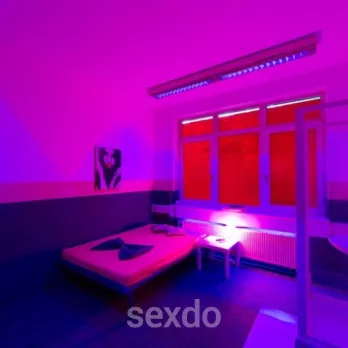 Bordell / Laufhaus - Sex World - Kaiserslautern - Die geilste Zone der Stadt - Profilbild