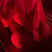 Ella - nur fuer +Club Mitglieder