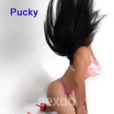 Pucky - nur fuer +Club Mitglieder