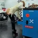 Mistress Katrin - nur fuer +Club Mitglieder