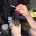 Femme fatale - nur fuer +Club Mitglieder
