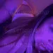 Bella - nur fuer +Club Mitglieder