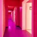 Dreifarben Haus Stuttgart - nur fuer +Club Mitglieder