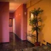 Erotisches Massage Studio - nur fuer +Club Mitglieder