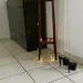 Patricias Appartement - nur fuer +Club Mitglieder