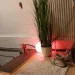 Sehnsucht-Massage - nur fuer +Club Mitglieder