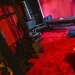 Studio Royal - nur fuer +Club Mitglieder