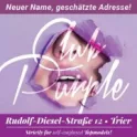 Club - Club Purple - Trier - Bis zu 40 bezaubernde Damen - Bild 1