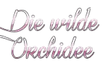 Die wilde Orchidee Logo bei Sexdo.com