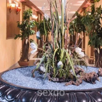 Club - Traum-Paradies - Troisdorf - Exklusives Lusterlebnis - Profilbild