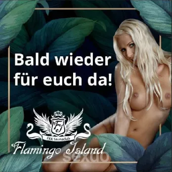 FKK Saunaclub - FKK Flamingo Island - Ettlingen - Internationale tabulose Damen - Profilbild