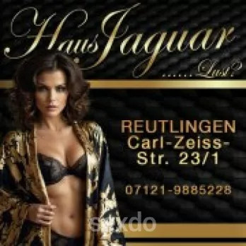Club - Haus Jaguar - Reutlingen - Die heißesten Kätzchen von Reutlingen - Profilbild