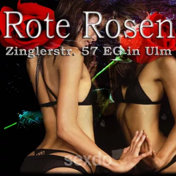 Privat / Appartement - Rote Rosen - Ulm - Heiße Mädels in Ulm - Profilbild
